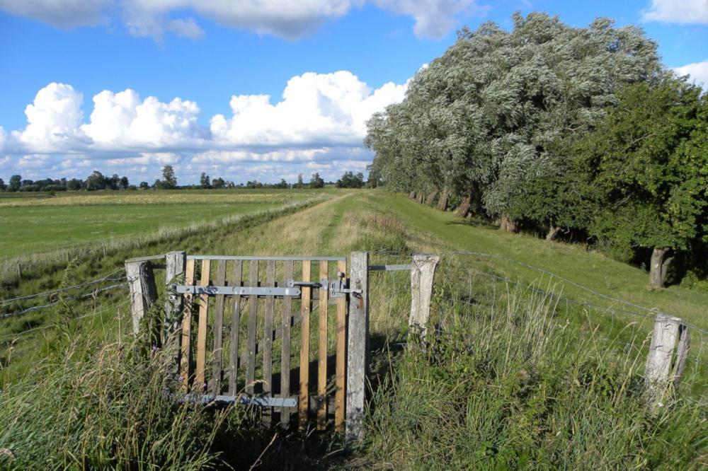 Ferienhof-Eiderdeich Wohnung Hertha Delve Exteriér fotografie